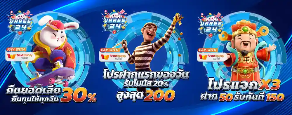 รวมโปรโมชั่น VAREE24